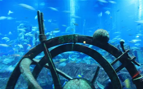 The Lost Chambers Aquarium