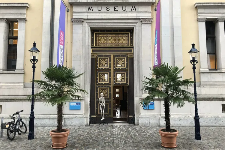 Musée d'histoire naturelle de Bâle