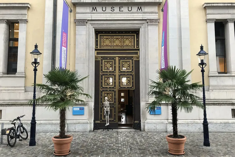 Museo de Historia Natural de Basilea