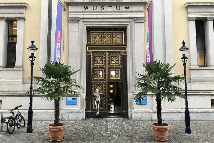 Natural History Museum of Basel