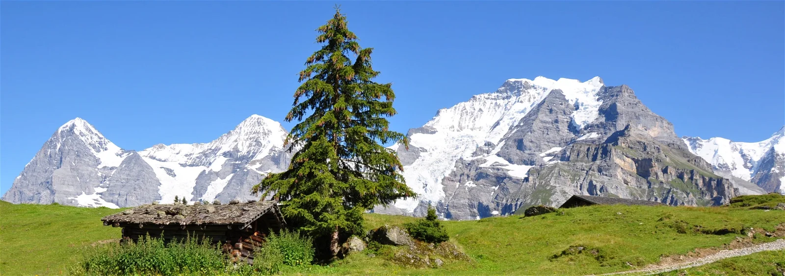 Renaissance art & Early modern art museums in Switzerland