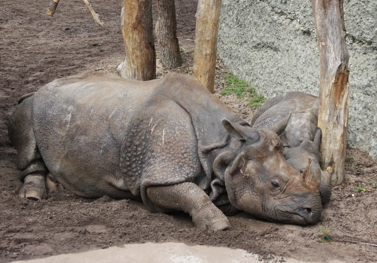 Zoológico de Basilea