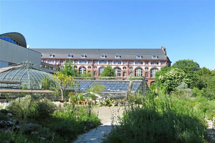 University of Basel Botanical Garden