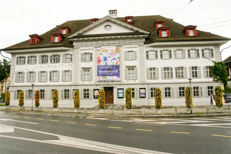 Lucerne Nature Museum