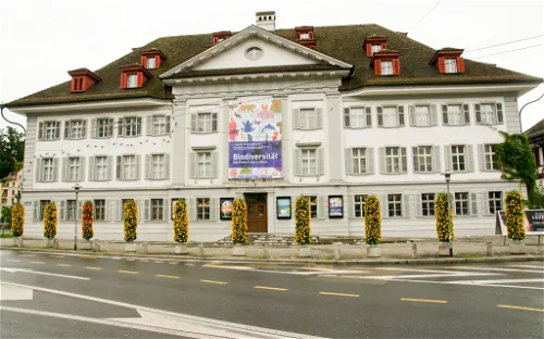 Natur-Museum Luzern