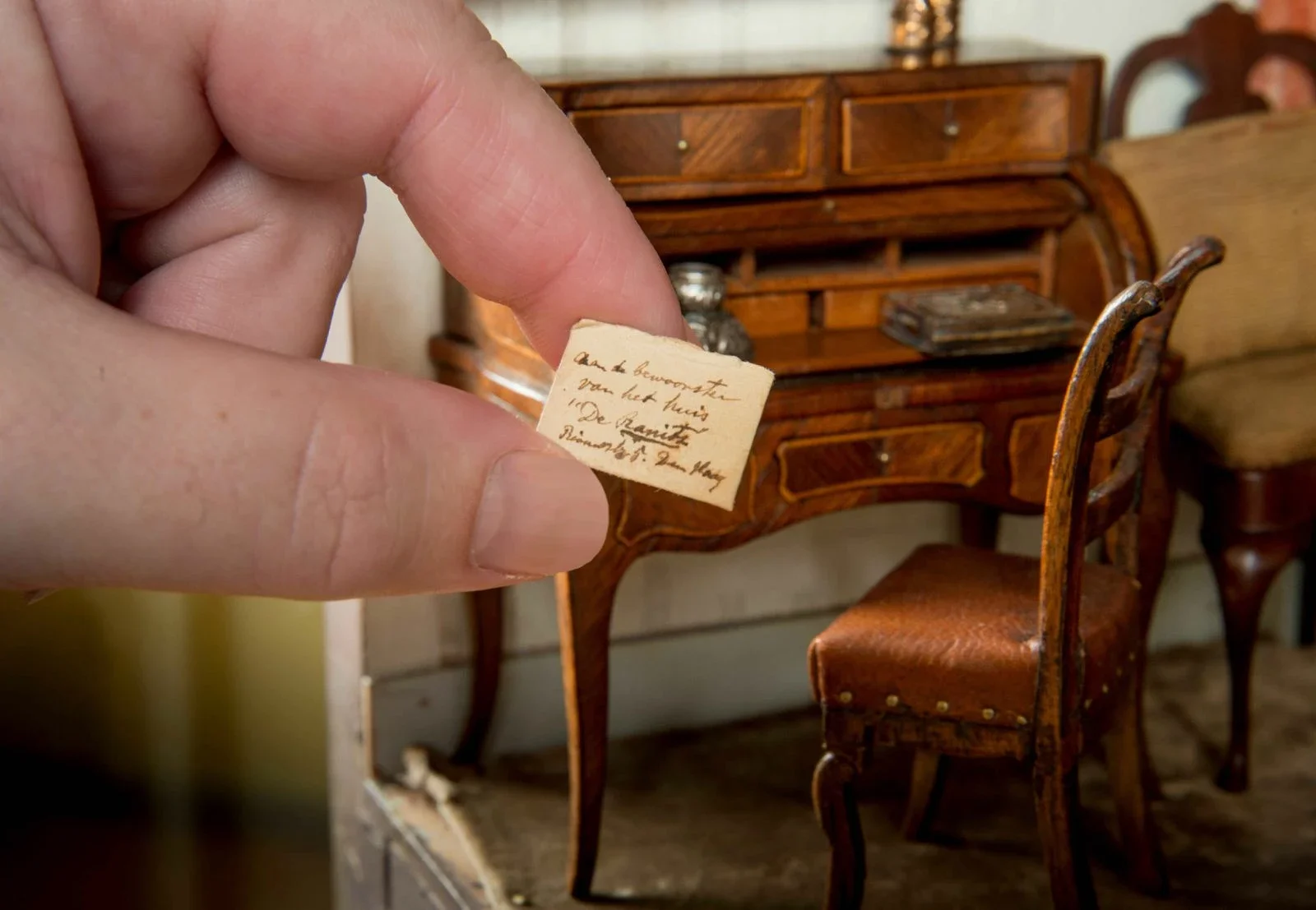 Small, smaller, big. The dollhouses of lady Lita de Ranitz