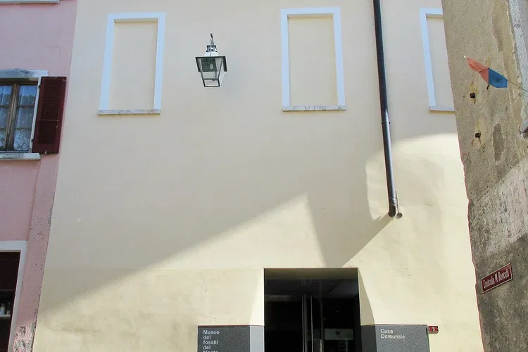 Museo dei fossili del Monte San Giorgio