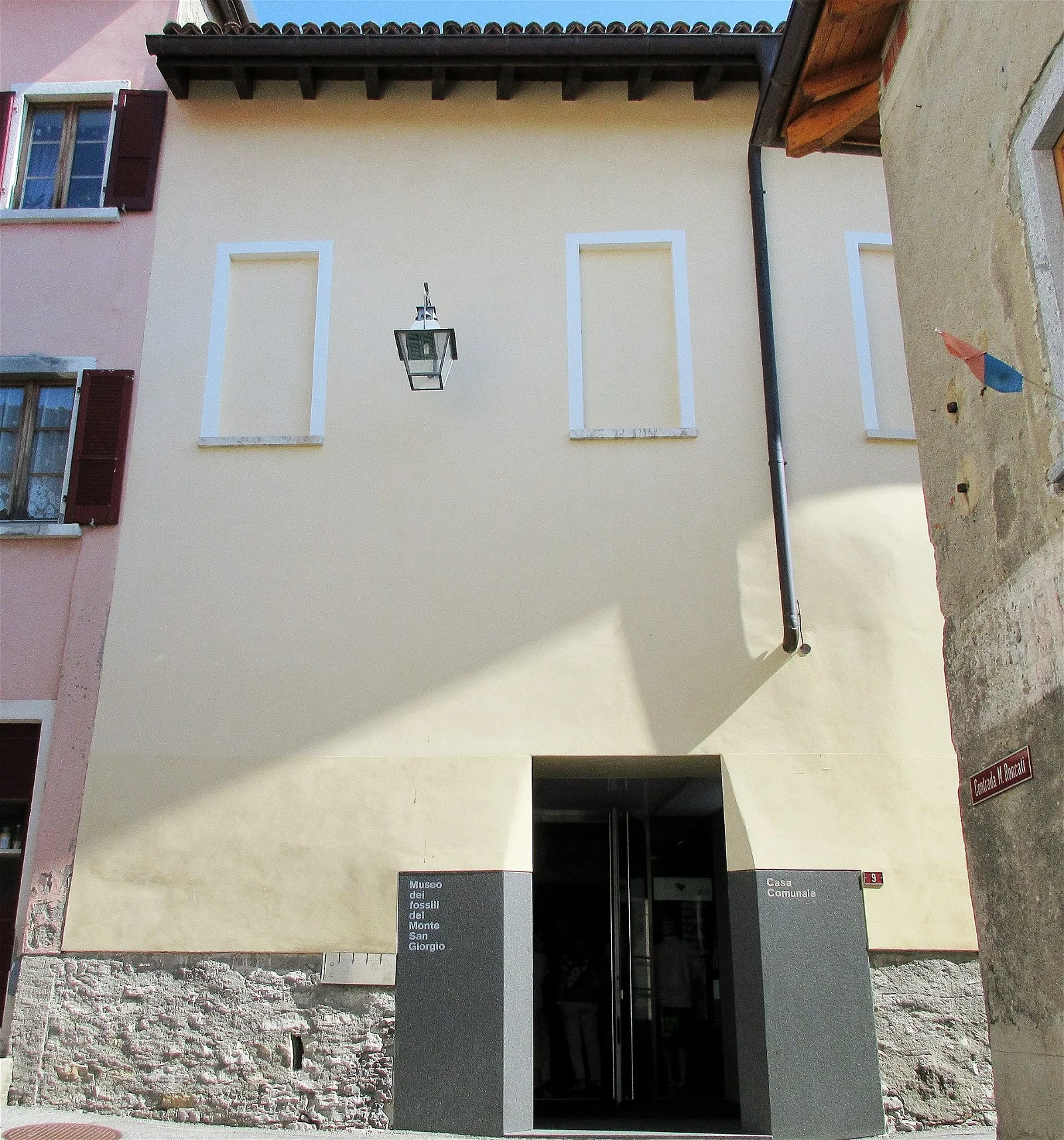 Museum of fossils from Monte San Giorgio