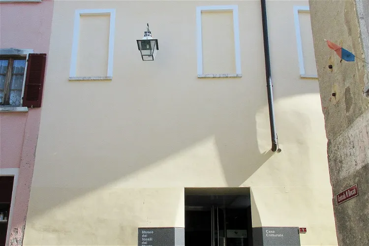 Museum of fossils from Monte San Giorgio