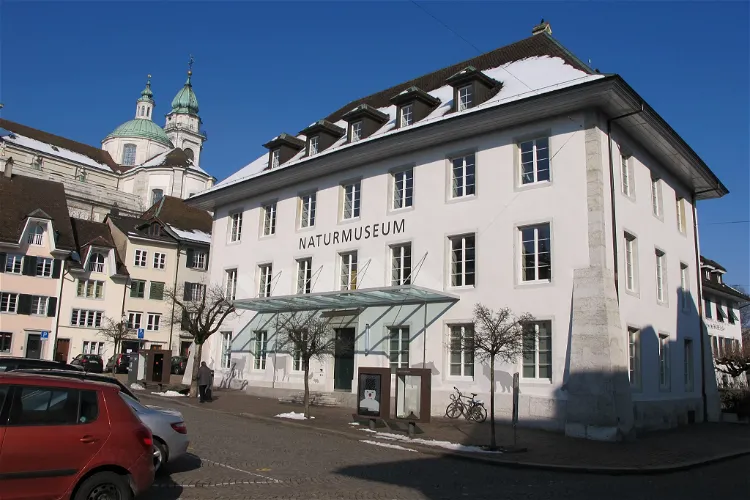 Museum of Nature