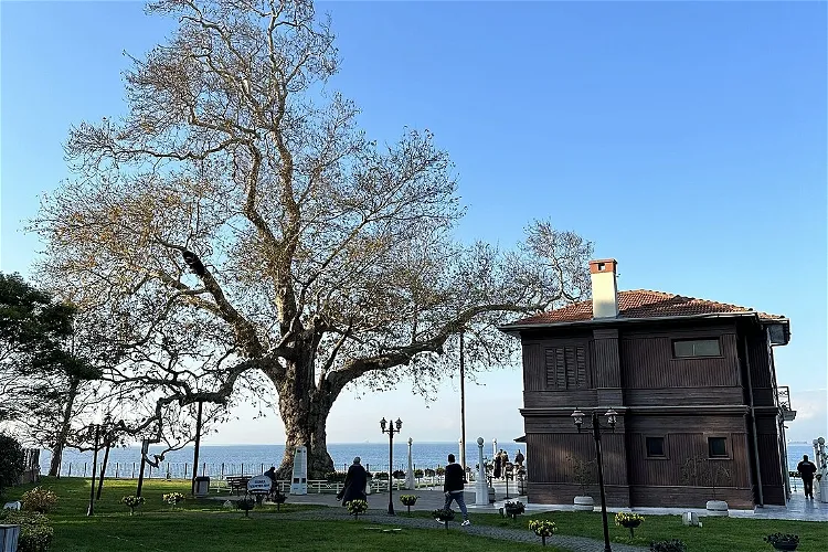 Yürüyen Köşk