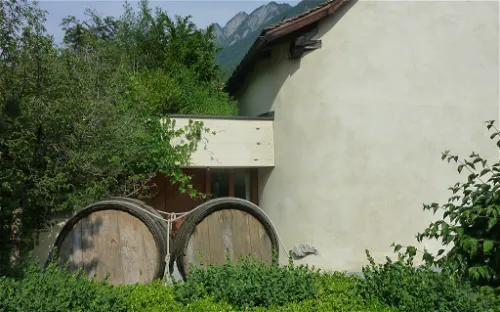 Viticulture Museum - Torculum