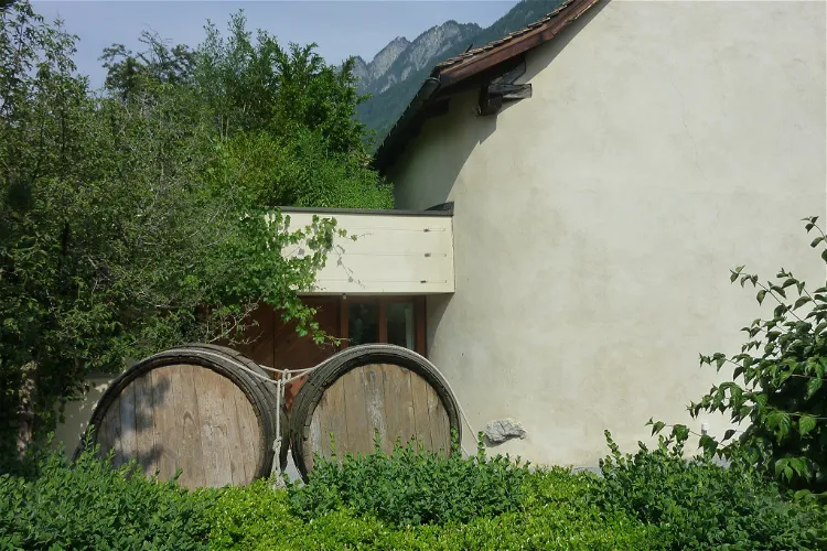Viticulture Museum - Torculum