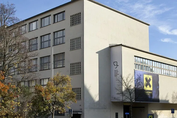 Musée d'histoire naturelle de Berne