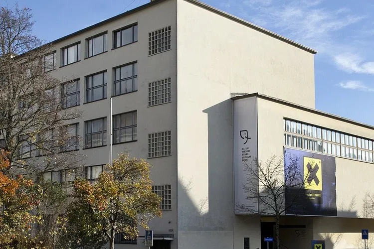 Museo di storia naturale di Berna