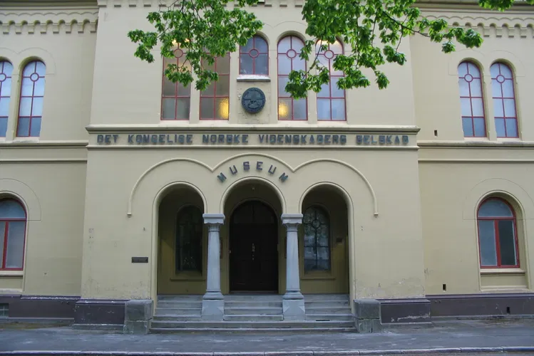 Muséum d'histoire naturelle et d'archéologie de Trondheim