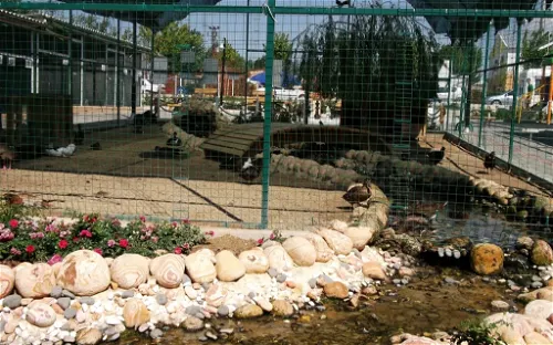 Çorlu Mini Hayvanat Bahçesi