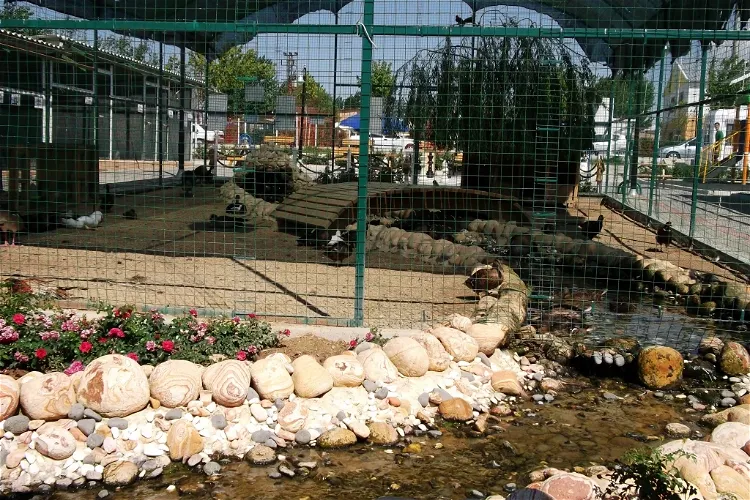 Çorlu Mini Hayvanat Bahçesi