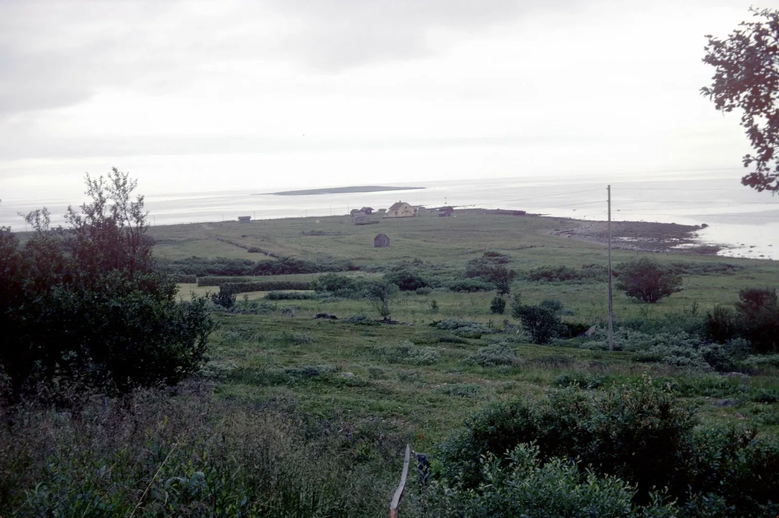 Vadsøya (Vadsø) - Visitor Information & Reviews