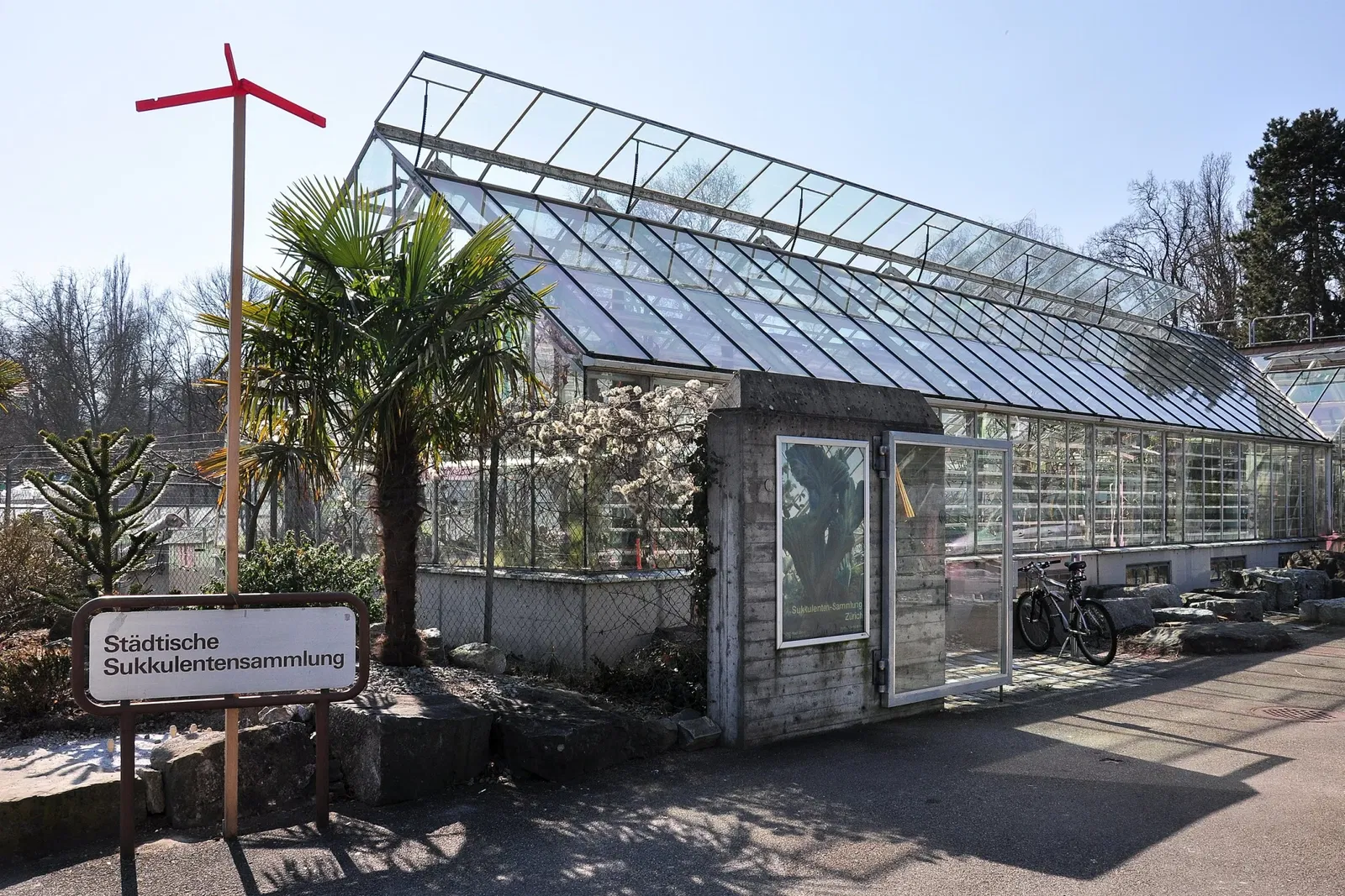 Zurich Succulent Plant Collection