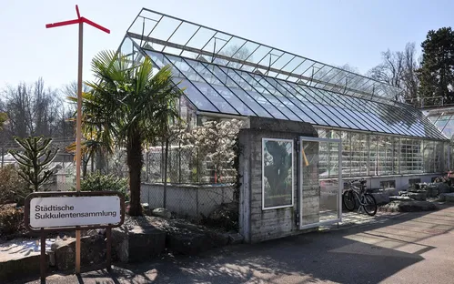 Zurich Succulent Plant Collection