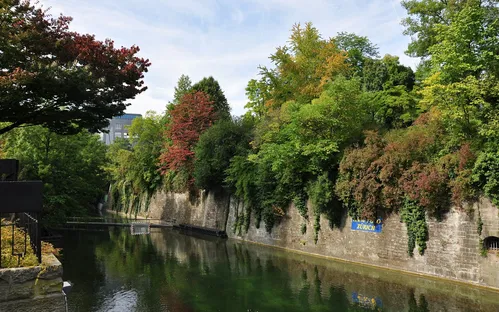 Jardin botanique de Zurich