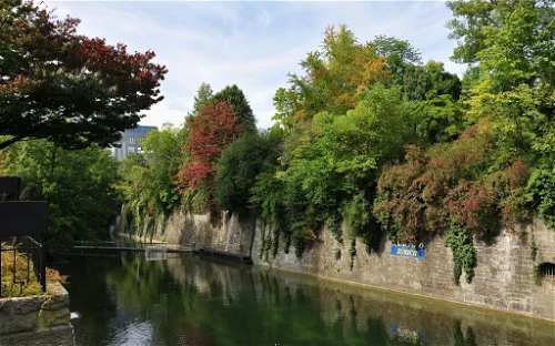 Old Botanical Garden