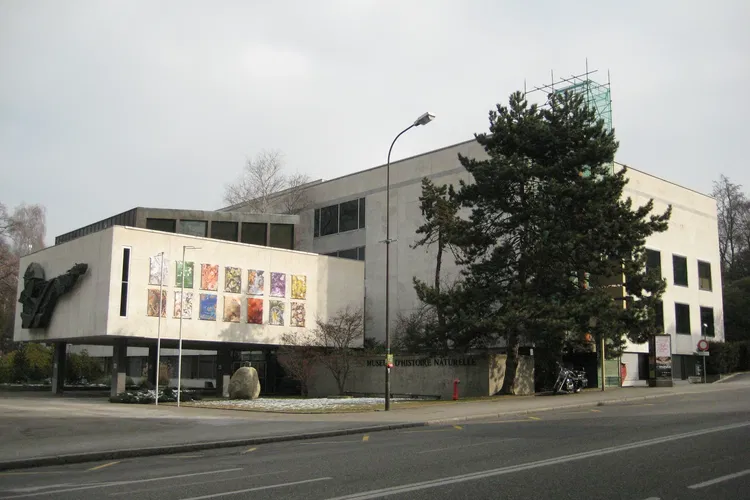 Muséum d'Histoire Naturelle