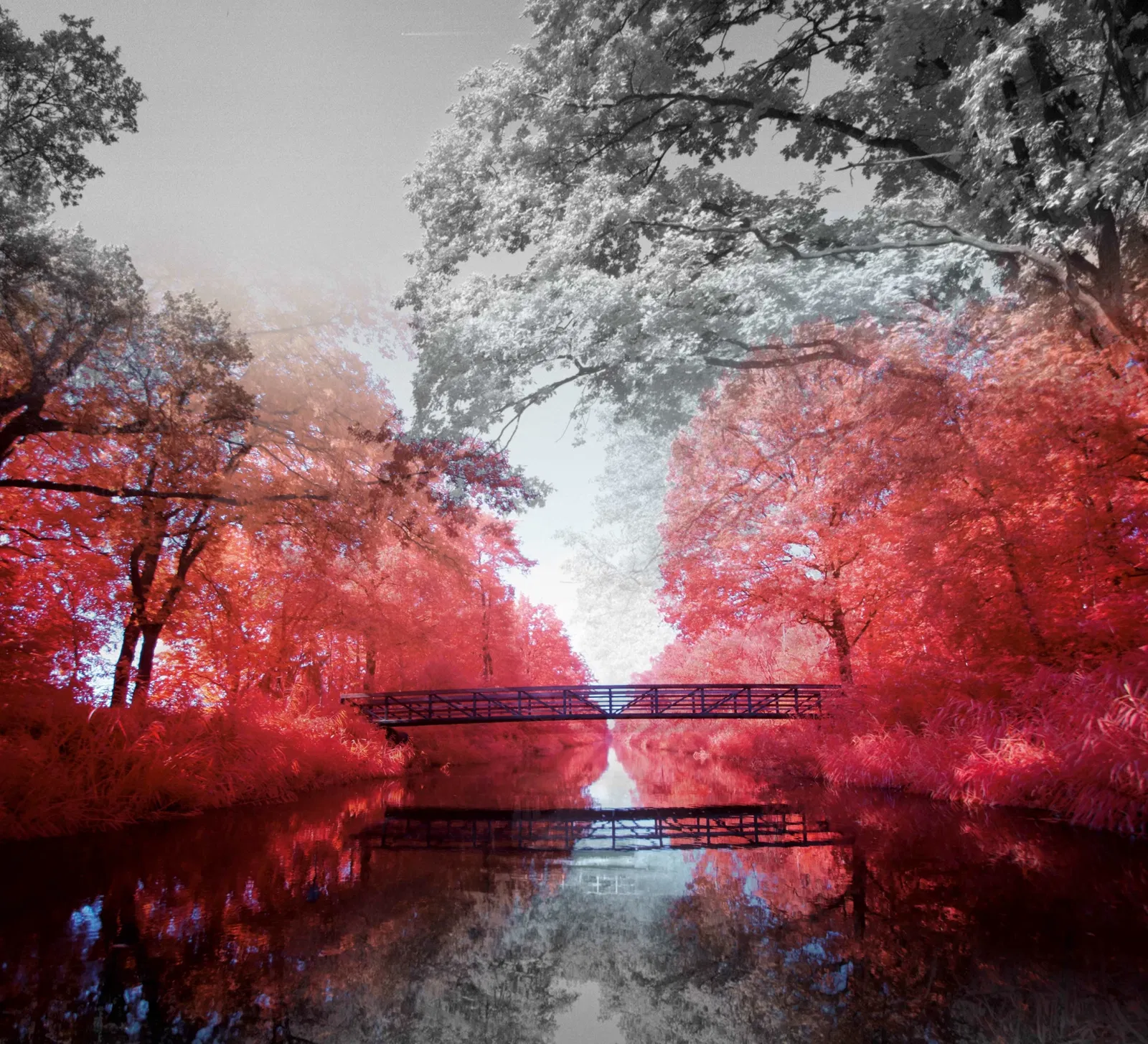 In de Ateliers: Michiel van Bakel - Objectief Landschap. Van Utopia tot Peel