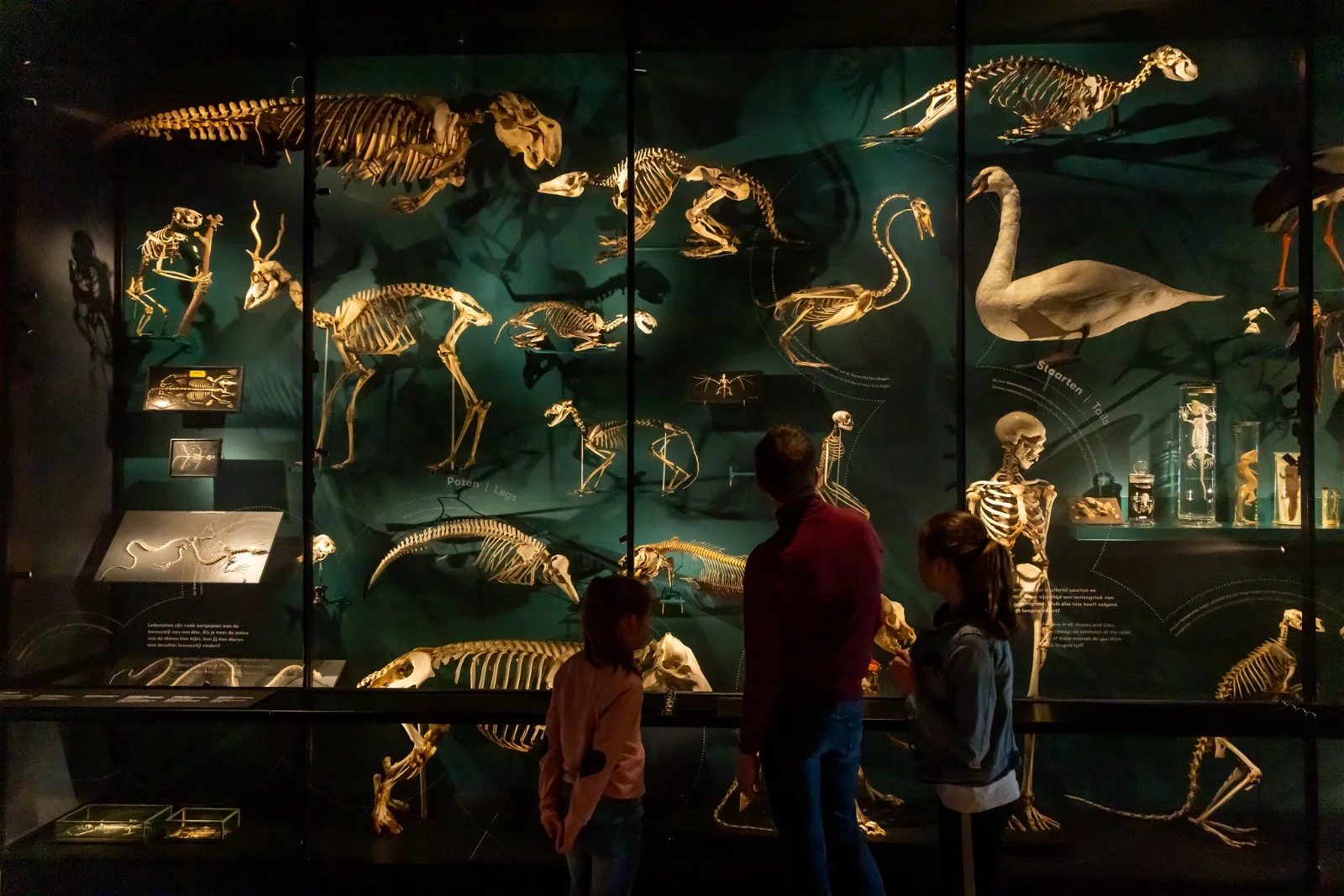 University Museum Utrecht