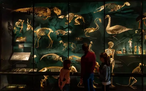 University Museum Utrecht
