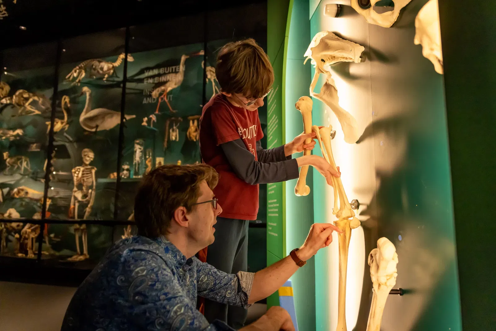 UMU | Universiteitsmuseum Utrecht