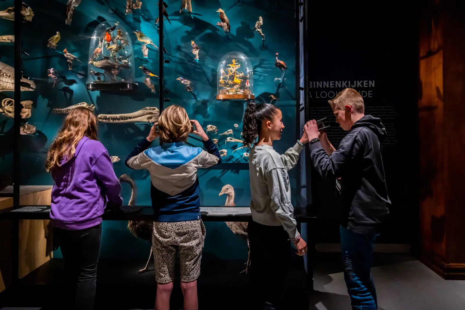 UMU | Universiteitsmuseum Utrecht