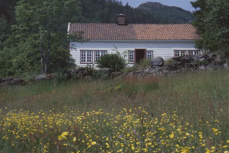 Jonegarden på Hustveit