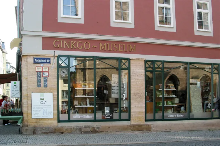 Ginkgo-Museum