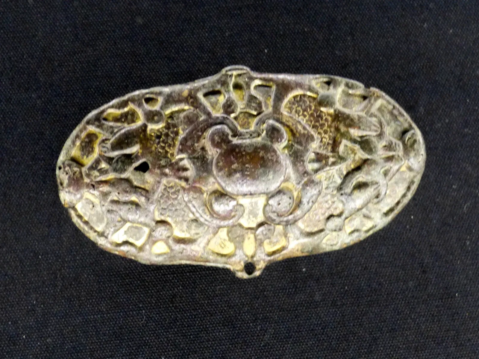 Museo dell'università di Bergen