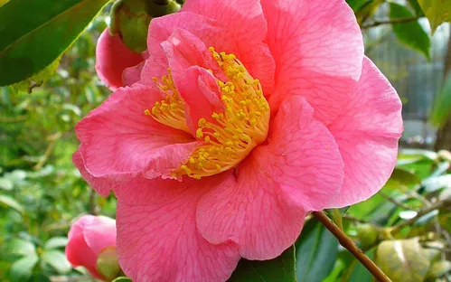 Botanischer Garten der Universität Karlsruhe