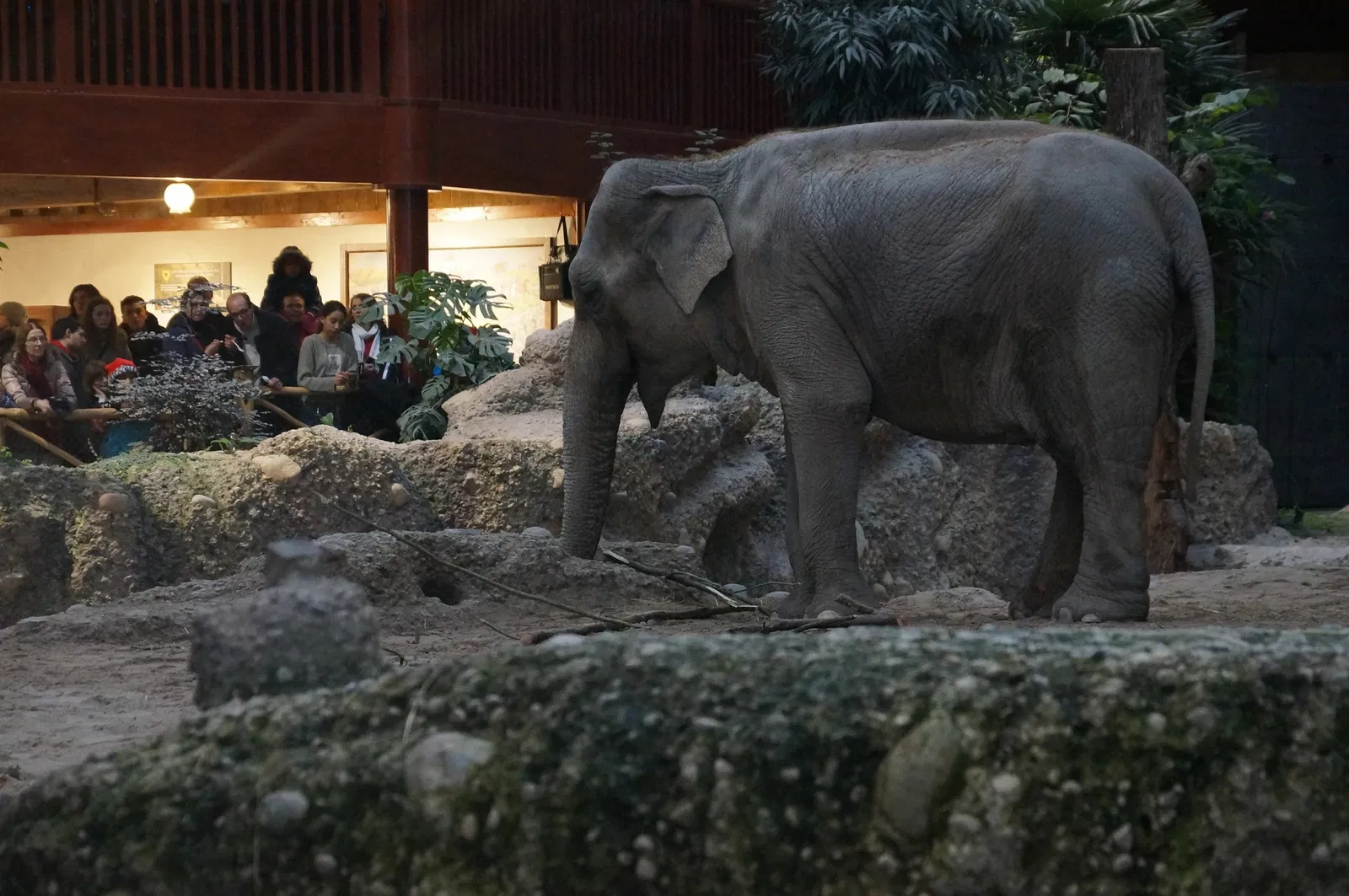 Zoológico de Zúrich