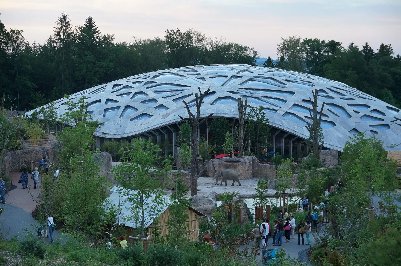 Zoológico de Zúrich