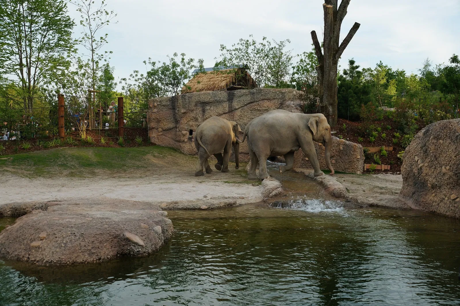 Zoológico de Zúrich