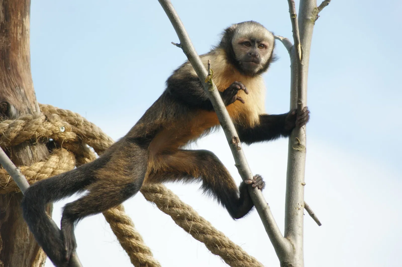 Zoológico de Zúrich