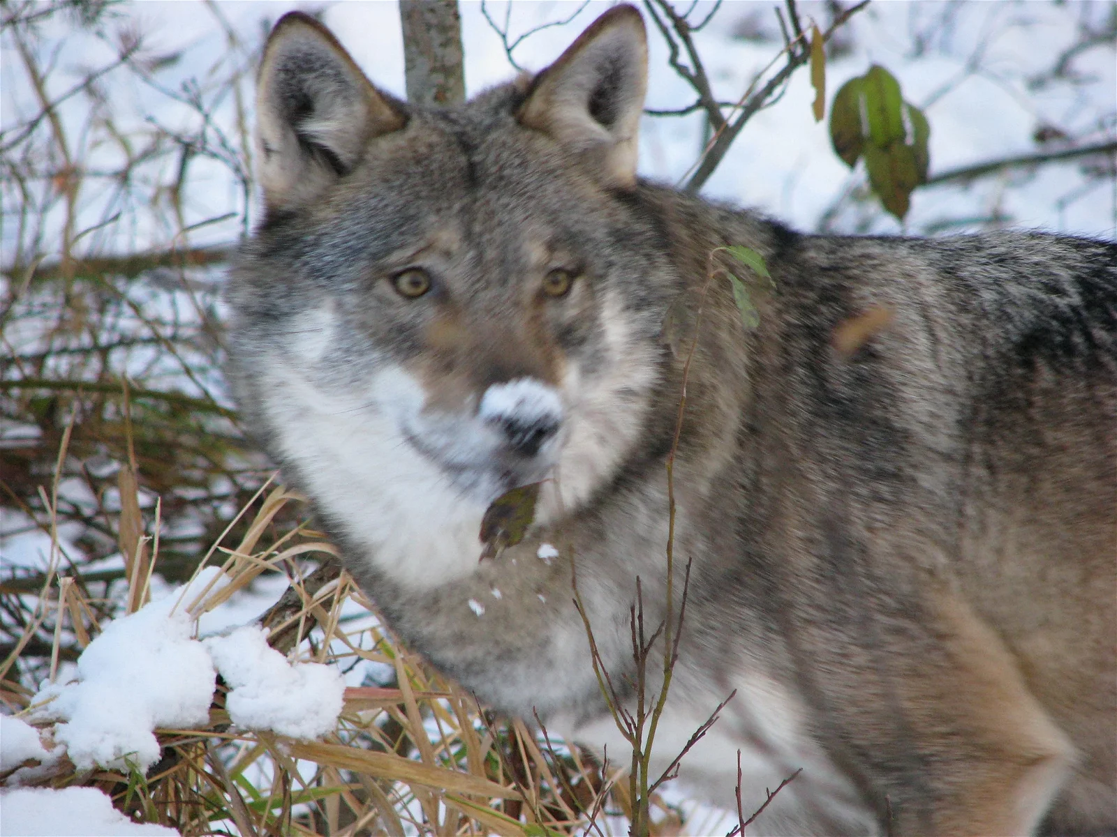 Namsskogan Family Park