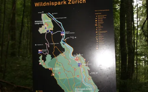 Wildnispark Zürich Sihlwald