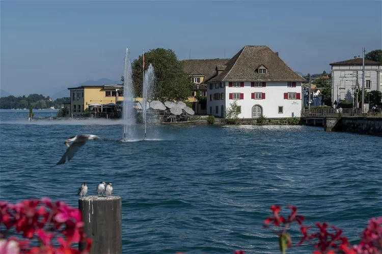 Sust Museum Horgen
