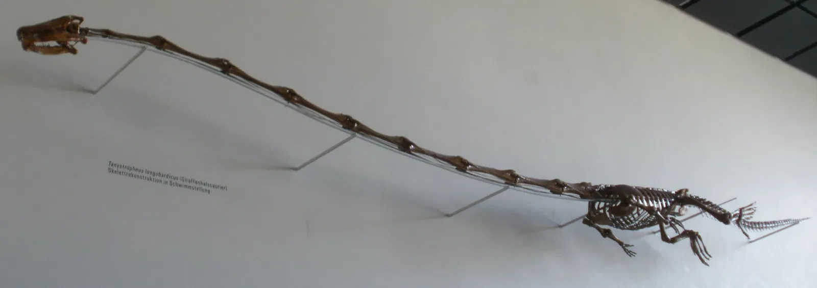 Zoologisches Museum der Universität Zürich