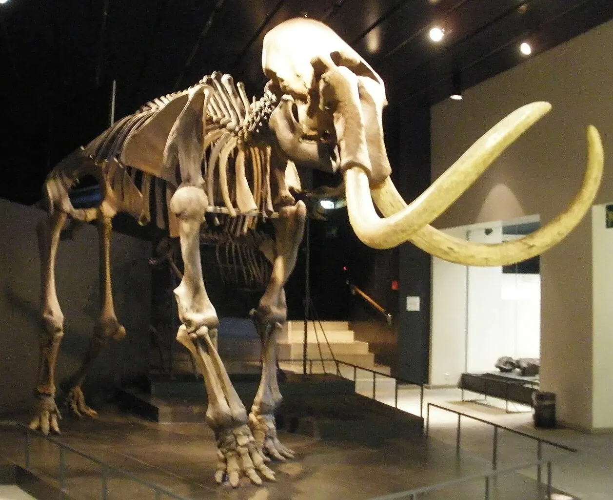 Zoologisches Museum der Universität Zürich