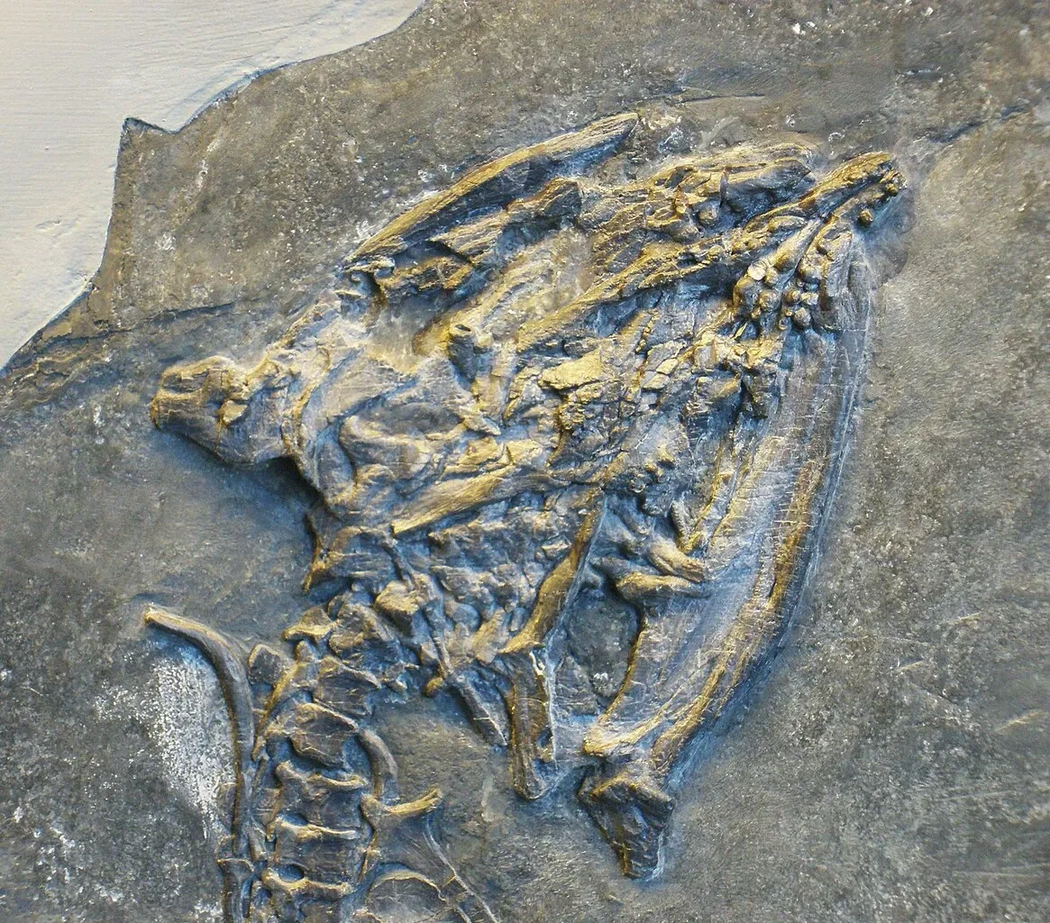 Zoologisches Museum der Universität Zürich