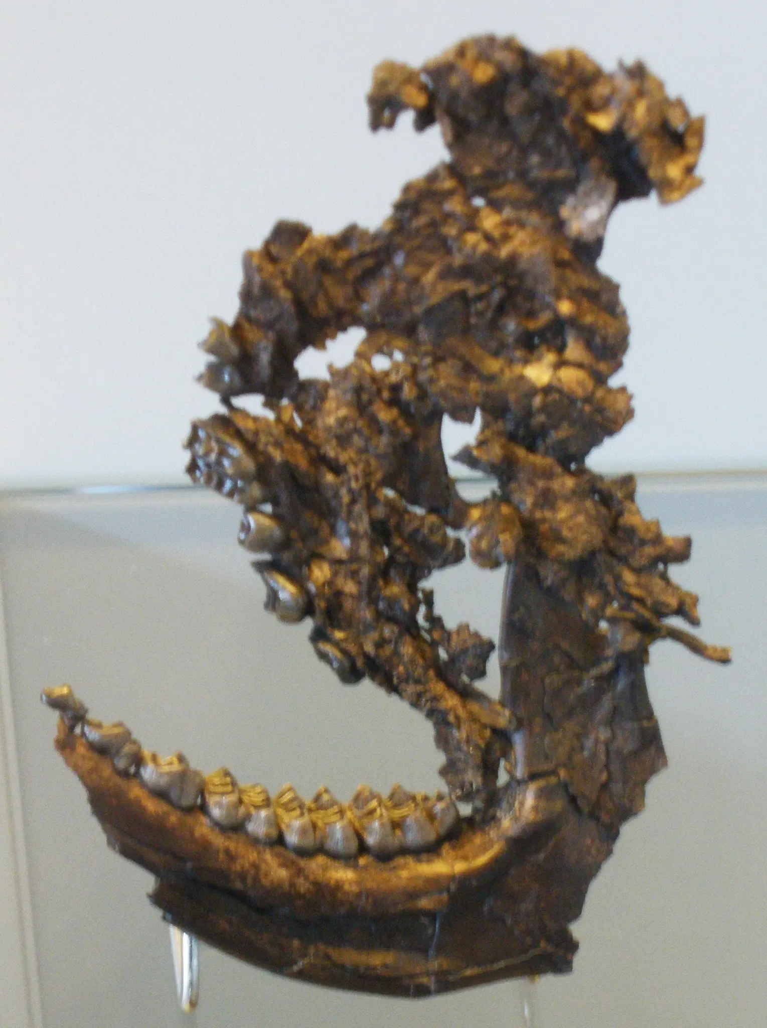 Musee Paleontologique de Zurich