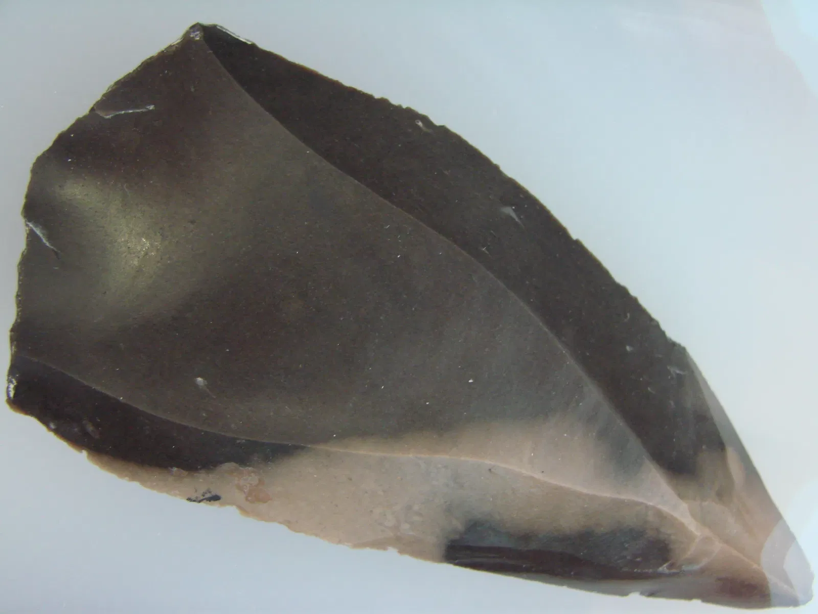 Anthropological Museum