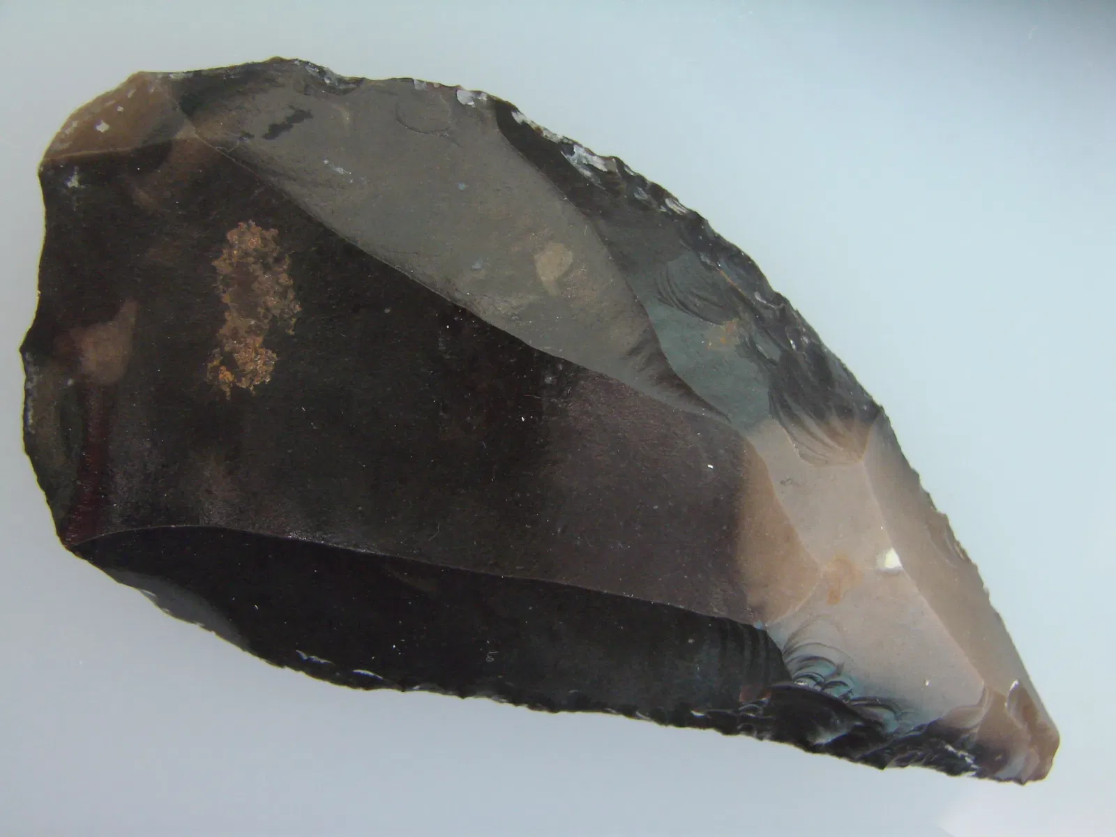 Anthropological Museum